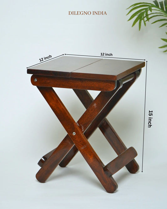 Foldable Picnic Stool